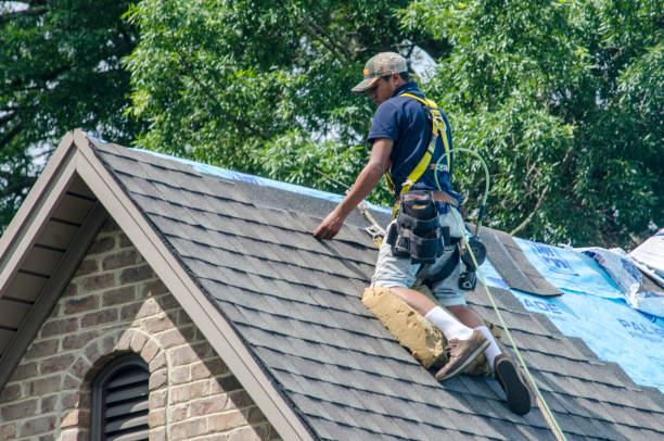 Professional Roofing Contractor in Cabana Colony, FL